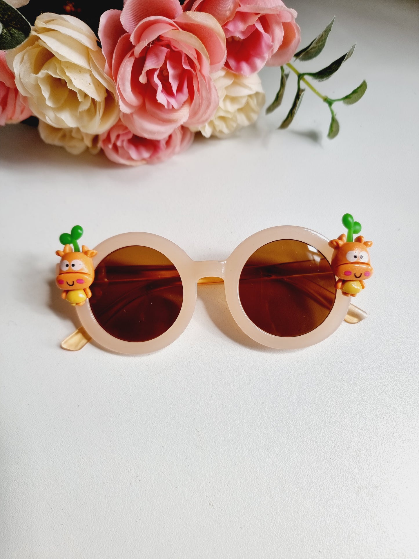 Sunglasses for Kids and Adults