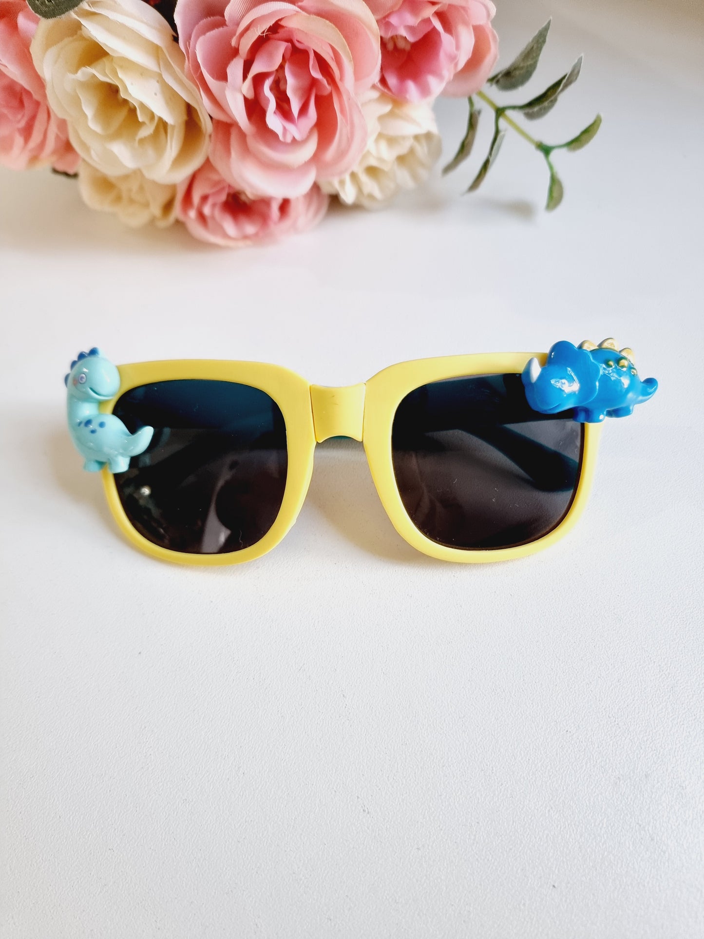 Sunglasses for Kids and Adults